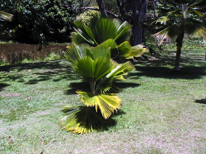28 - Jardin des eaux 022.jpg